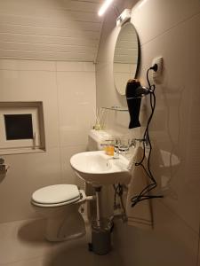Un baño con lavabo, inodoro y espejo. en Home away from home, en Bohinj