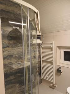 a shower with a glass door in a bathroom at Home away from home in Bohinj