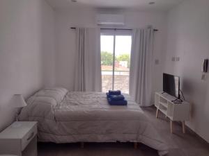 a bedroom with a bed and a tv and a window at DTo CÉNTRICO LOBOS 2 E in Lobos
