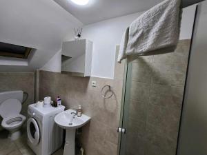a bathroom with a toilet and a sink and a shower at Dream House Caransebeș in Caransebeş