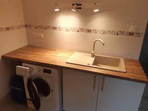 a kitchen with a sink and a washing machine at Sub Rosa in Balatonfenyves