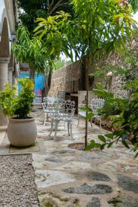 Zahrada ubytování Casa Pakal Valladolid
