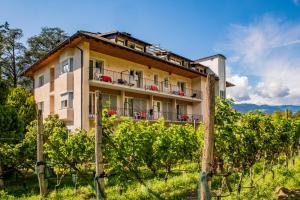 a building in the middle of a bunch of vines at Weingarten Terlan - Rooms & Breakfast in Terlano