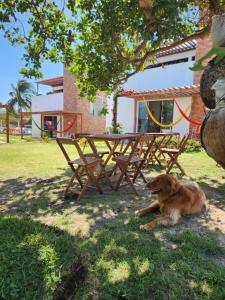 a dog laying in the grass next to a picnic table at VILA DO RIO in Santo Amaro +28 photos