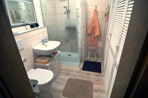 ein Badezimmer mit Waschbecken, Toilette und Dusche in der Unterkunft FeWo Lüneburger Heide - Minni in Bad Bevensen + 14 Fotos