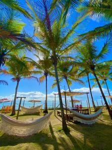 a group of hammocks on a beach with palm trees at Quintal da Praia in Prado