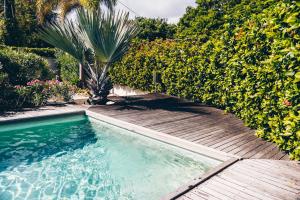 een zwembad op een houten terras met een palmboom bij Paradiso Chikitu Little Paradise in Willemstad