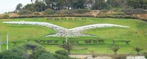 un gran campo verde con una escultura de aves. en Casa Jardín del Mar - Reñaca - 4 Dormitorios, en Viña del Mar