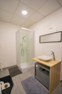 a bathroom with a shower and a sink at Maison centre ville 50m2 - Jardin - L'atlas Zen in Challans
