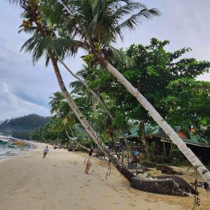 two people standing on a beach with two palm trees at ITAYTAY INN in San Vicente