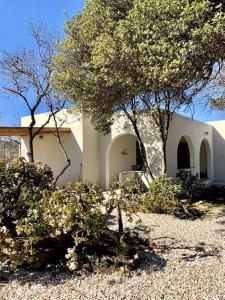 un edificio blanco con árboles delante de él en Fyroa en Naxos