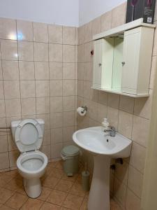 La salle de bains est pourvue de toilettes, d'un lavabo et d'un miroir. dans l'établissement Ο ΦΟΙΝΙΚΑΣ ΣΤΗΝ ΚΑΣΤΟΡΙΑ, à Kastoria