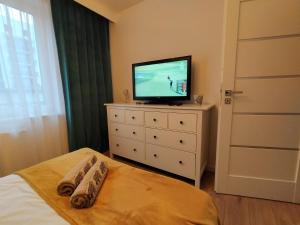 a bedroom with a tv on top of a dresser at Apartament nr15 z parkingiem podziemnym in Toruń