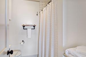 a bathroom with a shower curtain and a toilet at Blue View Chalet in Blowing Rock