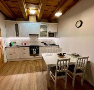 Kuchyň nebo kuchyňský kout v ubytování Apartmán 8, Jezerné