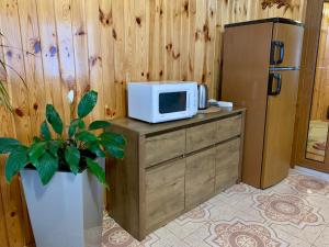 Kuchyň nebo kuchyňský kout v ubytování Guest House Velet