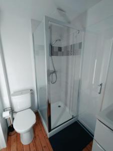 a bathroom with a toilet and a glass shower at C'COZY - grande maison calme et lumineuse in Sablé-sur-Sarthe