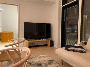 sala de estar con TV de pantalla plana y sofá en Luxury Ski-in&Out &Private Jacuzzi (Levi Diamonds), en Sirkka