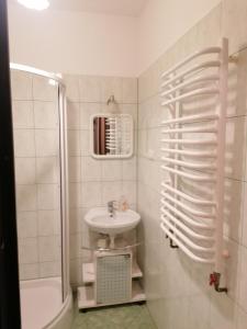 uma casa de banho branca com um lavatório e um chuveiro em Dom "Honorat", Kamianna 70, 33-336 em Kamianna