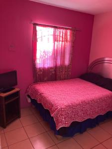 um quarto rosa com uma cama e uma janela em Blanquita Apartment em El Sauzal