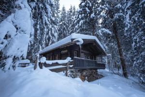 un edificio cubierto de nieve en un bosque nevado en Kitzkopf Hütte, en Mayrhofen