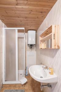 a bathroom with a white sink and a shower at Kitzkopf Hütte in Mayrhofen