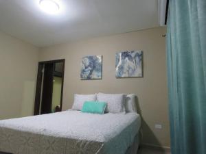 a bedroom with a bed with a blue pillow on it at Casa en Ceiba 15 min de la playa in La Ceiba