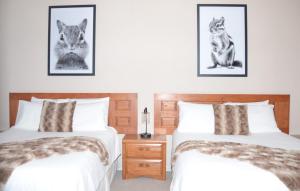 Duas camas num quarto com fotografias de lobos em Bent Mountain Lodge em Roanoke