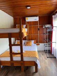 a bedroom with a bunk bed with a ladder at Gambas Lodge in Fortuna
