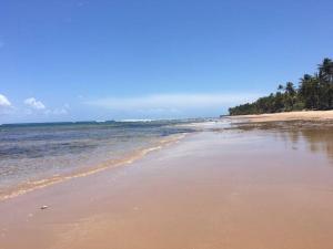 uma praia com o oceano e árvores ao fundo em Chalé da Barra - Loft em Maraú