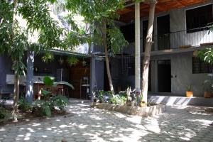 波多埃斯康迪的住宿－Casa Niita，一座树木和植物的建筑的庭院