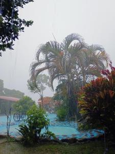a garden with palm trees and a body of water at PosadaManduka Eco-Hostel in Villavicencio
