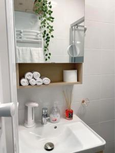 y baño con lavabo blanco y espejo. en Appartement chaleureux à Alfortville, en Alfortville