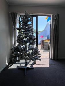 a christmas tree sitting in a room with a window at Stay with Benny in Nelson