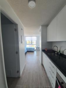 バルディビアにあるDepartamento estudio isla Teja equipadoのキッチン(リビングルームへ続く廊下付)