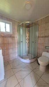 a bathroom with a shower and a toilet at Cabaña Pradera Premiun I in Llau-Llao