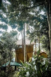 Κήπος έξω από το Leela Garden resort BambooLove