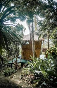 Κήπος έξω από το Leela Garden resort BambooLove