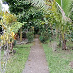 a walking path in a garden with palm trees at Bali jungle cabin in Jatiluwih