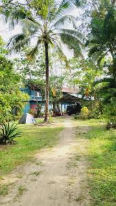 a dirt road with a palm tree and a tent at GREEN FINCH LAKE VIEW GARDEN RESIDENCY in Cherai Beach