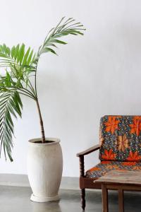 a plant in a white vase next to a chair at Balcony House in Zanzibar City