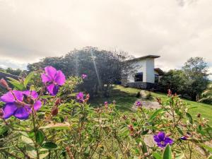 una casa en una colina con flores en primer plano en Las Marias Mountain View Cottages, en Monteverde