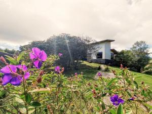 uma casa numa colina com flores no primeiro plano em Las Marias Mountain View Cottages em Monteverde