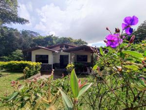 una casa con flores púrpuras en el patio en Las Marias Mountain View Cottages, en Monteverde