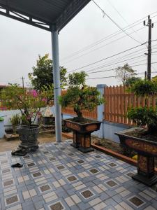 un patio con bonsáis en macetas sobre una mesa en HomeStay Ông Vinh, 