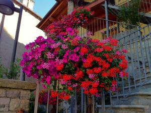 Zahrada ubytování b&b Al Castel