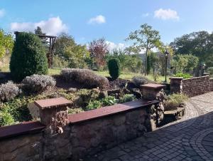 Zahrada ubytování Loft Eifel Idylle