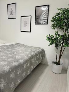 ein Schlafzimmer mit einem Bett und einer Topfpflanze in der Unterkunft Slava Hygge House in Nakskov