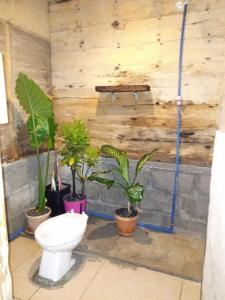 a bathroom with a toilet and potted plants at sharkbunkbed siargao in General Luna