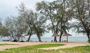 una playa con árboles y gente en la playa en Tropical Bay Grand World Phu Quoc, en Phu Quoc
